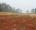(出租)养殖场地出租